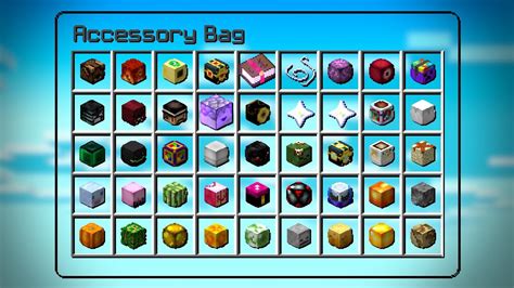 Credit Moulberry. . Hypixel skyblock accessories